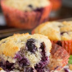 Healthiest Blueberry Muffins