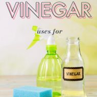 CLEVER USES FOR VINEGAR