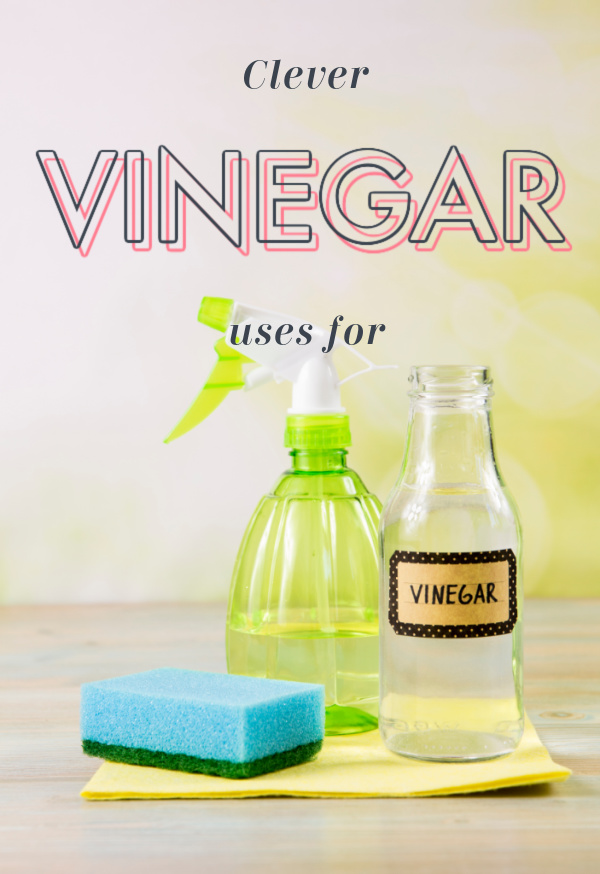 Vinegar, sponge, and water bottles