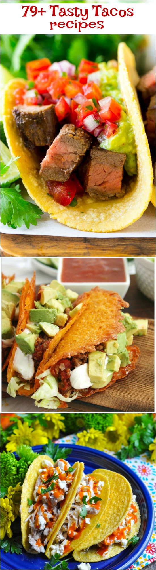 Tasty Tacos 79+ Ways for easy weeknight meals or gourmet entertaining, there's a recipe in this collection for you!