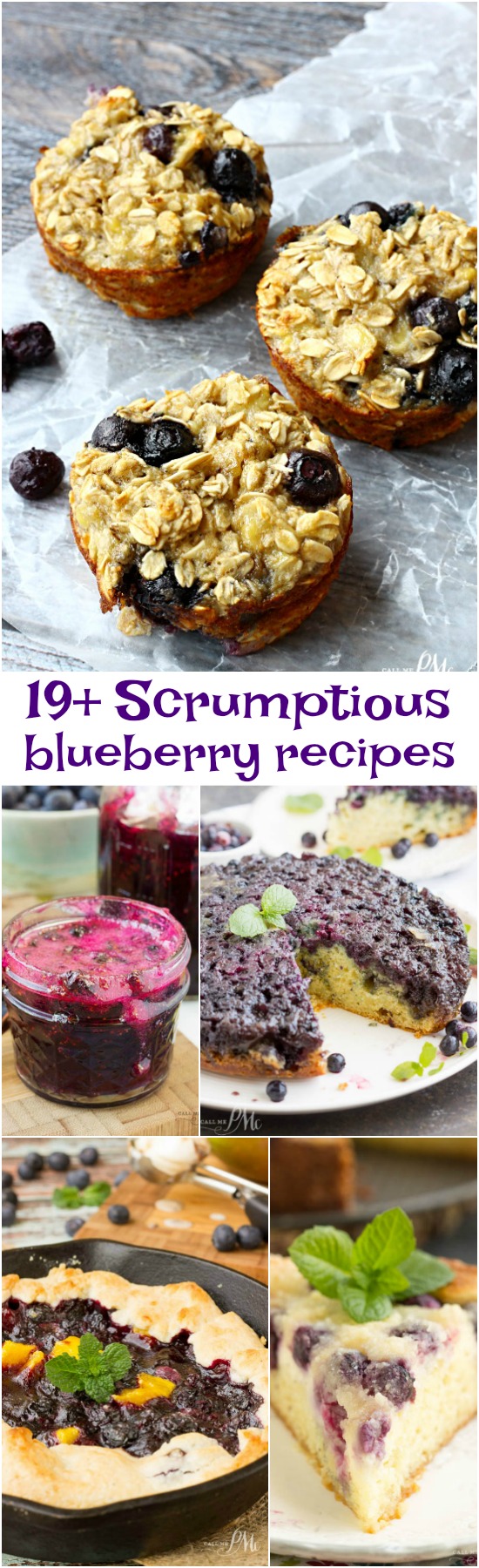 Calling all you blueberry lovers!  This fabulous assortment of recipes, 19 Scrumptious Blueberry Recipes, includes something for everyone’s individual taste. I put together this spectacular list and there is something for everyone to enjoy from sweet to savory.