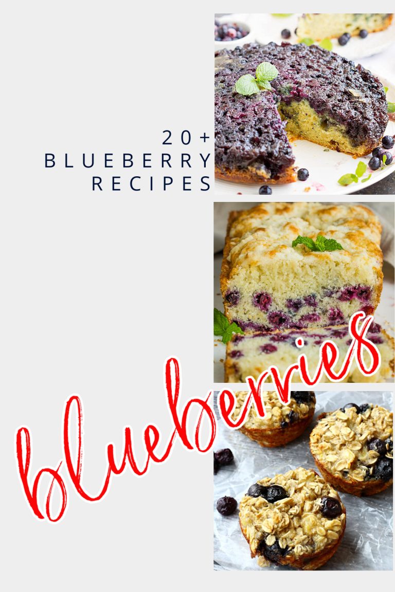 19+ Scrumptious Blueberry Recipes