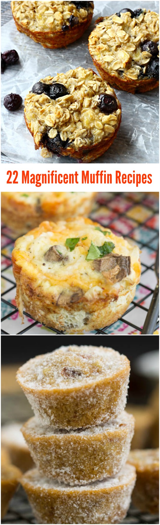 Mix up your morning with a hot, fresh breakfast and my 22 Truly Magnificent Muffin Recipes.