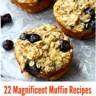 22 Magnificent Muffin Recipes