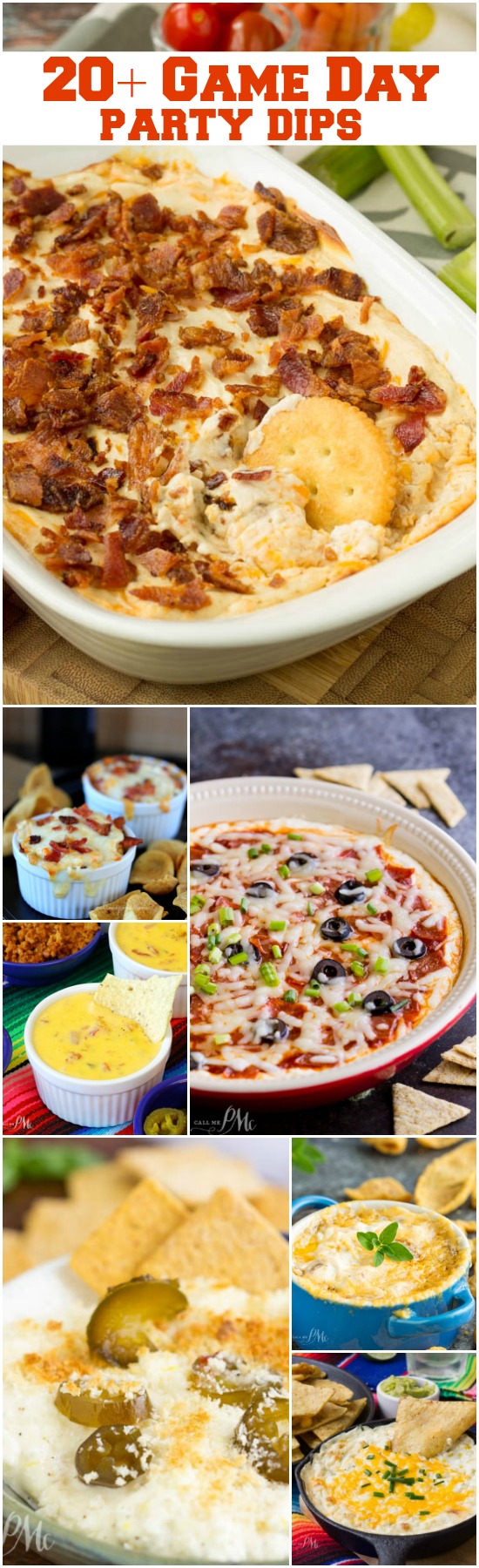  Dip Recipes 