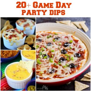 20+ Easy Game Day Party Dip Recipes
