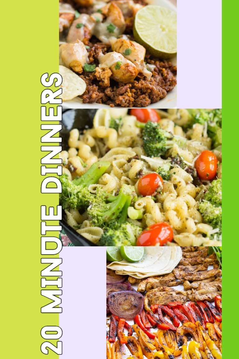 Quick, Easy, and Delicious 20 Minute Dinner Recipes