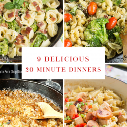 Quick, Easy, and Delicious 20 Minute Dinner Recipes