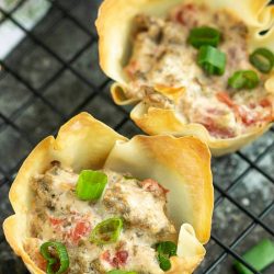 CREAM CHEESE SAUSAGE ROTEL WONTON CUPS