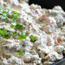 Skillet Sausage Rotel Dip is amazingly addicting and great for any party or celebration.