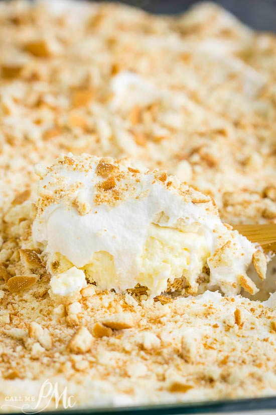 No Bake Banana Pudding Twinkie Cake has an incredible cream cheese pudding filling, lots of bananas, & is served over delicious Twinkie snack cakes! No Bake Banana Pudding Twinkie Cake
