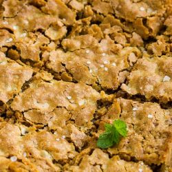 Squares of sweet Alabama pecan bread.