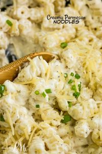 Creamy Parmesan Noodles