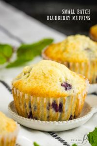 SMALL BATCH BLUEBERRY MUFFIN RECIPE