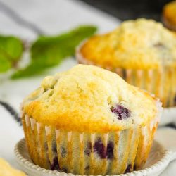 Small Batch Blueberry Muffin