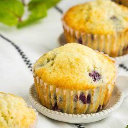 Small Batch Blueberry Muffin