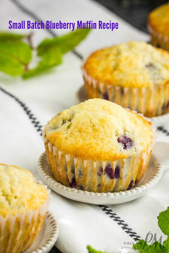 Small Batch Blueberry Muffin 