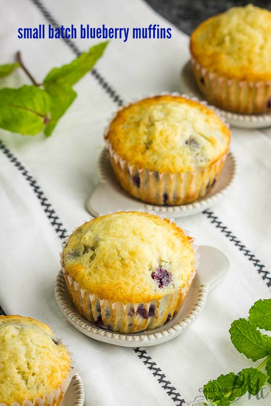 Small Batch Blueberry Muffin Recipe is tender, soft, moist, with lots of blueberries. A fabulous recipe for two people! #blueberry #muffin #recipe #smallbatch #fortwo #makes6 #onebowl Small Batch Blueberry Muffin