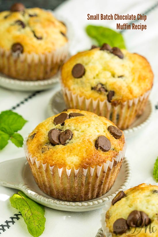homemade Small Batch Chocolate Chip Muffin Recipe is easy to make in one bowl. #muffins #snack #chocolatechip #homemade #smallbatch #breakfast #easyrecipe Chocolate Chip Muffins