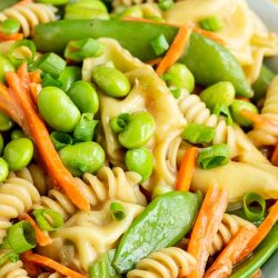 Potsticker Pasta Salad