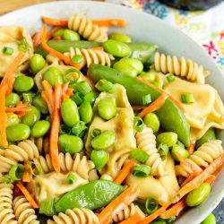 A summer classic with a twist, Potsticker Pasta Salad is loaded with healthy vegetables and topped with toasted sesame dressing
