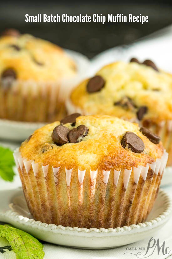  Chocolate Chip Muffins