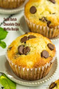 SMALL BATCH CHOCOLATE CHIP MUFFIN RECIPE