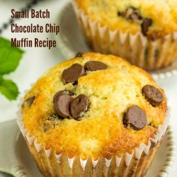 Small Batch Chocolate Chip Muffin Recipe quick bread