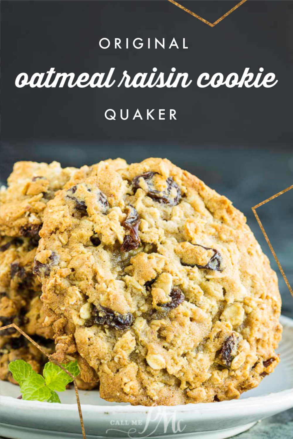 Quaker Oatmeal Cookies Recipe • Straight from the Quaker Oats Box!