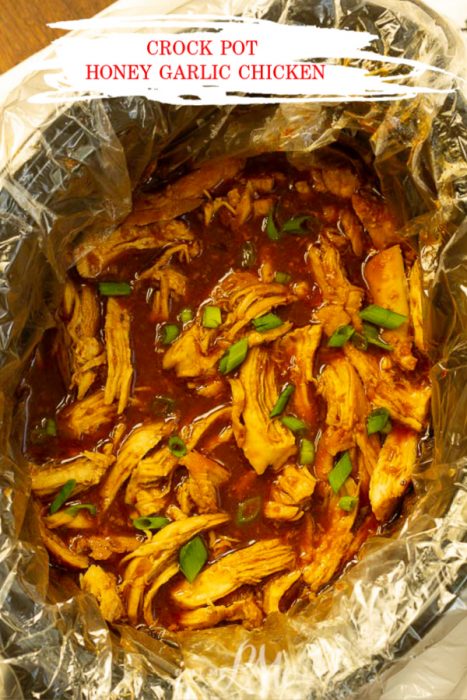 CROCK POT HONEY GARLIC CHICKEN RECIPE
