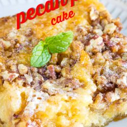 Best Pecan Pie Cake is an easy, decadent, butter, caramel and pecan flavored sheet cake. This cake recipe is from scratch and has the delicious flavors of a pecan pie! #pecans #pie #pecanpie #cake #dessert #recipe #fromscratch