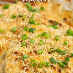 Cheesy Sour Cream Chicken I marinated chicken breasts in seasoned sour cream and coated them with parmesan cheese. This is a meal the whole family loves for dinner! #dinner #chicken #sourcream #cheese #recipe #baked #easy #entree
