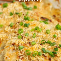 Cheesy Sour Cream Chicken