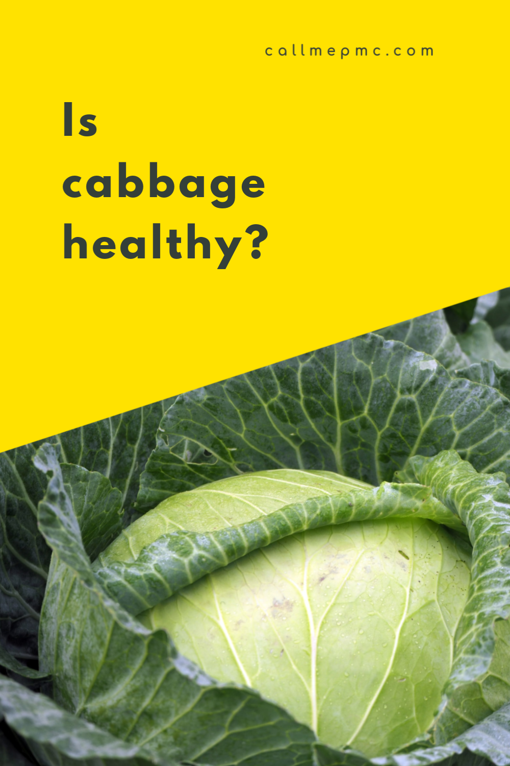 Is cabbage healthy? Information and nutrients of cabbage plus a delicious recipe! Is cabbage healthy? Information and nutrients of cabbage plus a delicious recipe!