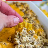 CHEESY SAUSAGE DIP