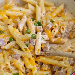 Extra creamy, wildly delicious, and super easy is this Mississippi Sin Pasta recipe is the ultimate comfort food. #pasta #ham #cheese #recipe #MSsindip #MississippiSinDipPasta