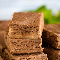 2 Ingredient Nutella Fudge