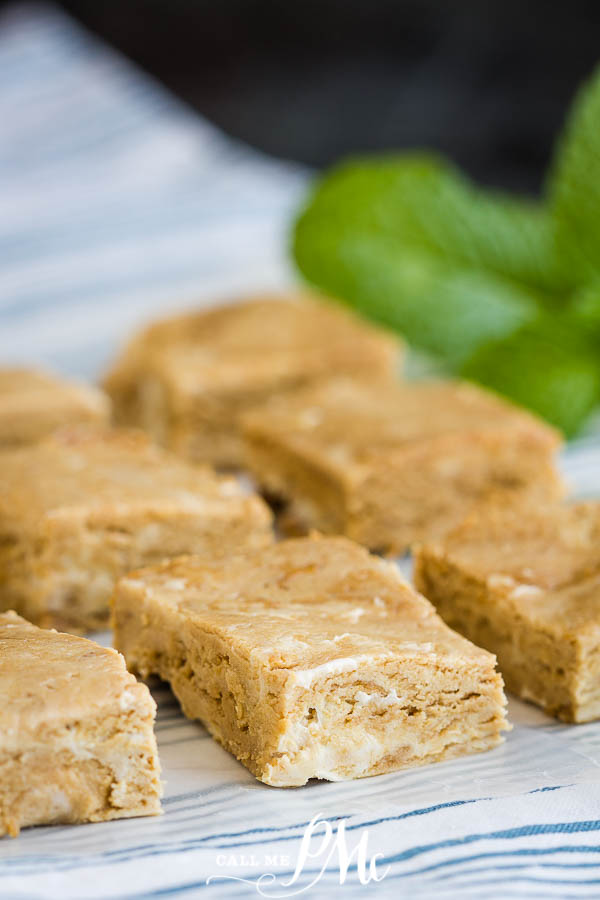 2 Ingredient Cookie Butter Fudge 