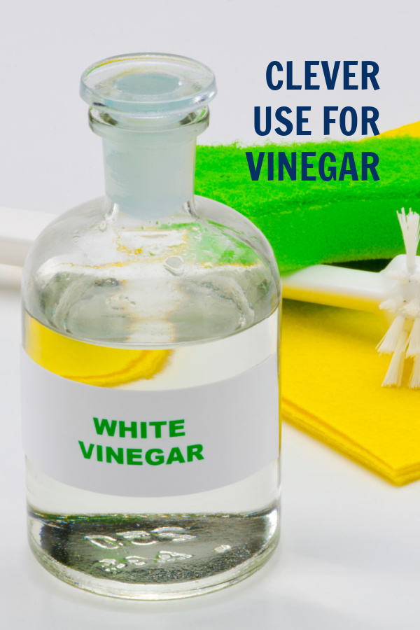 vinegar vinegar