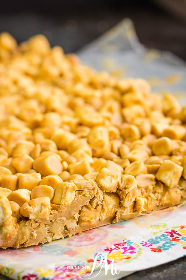 Salted Nut Roll Recipe are sweet, salty, crunchy, & chewy! Great for crowds, easy to make, great for potlucks, parties, & gameday tailgating! Salted Nut Roll Recipe are sweet, salty, crunchy, & chewy! Great for crowds, easy to make, great for potlucks, parties, & gameday tailgating!