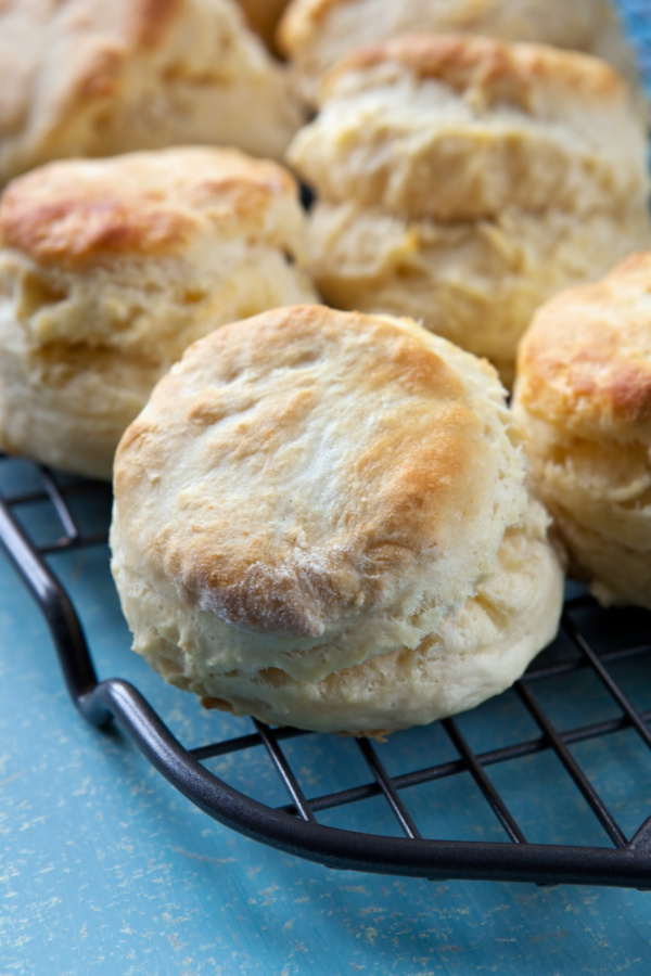 Pillowy soft, light, and tender, this Basic Biscuit Recipe is made in one bowl with only three ingredients.