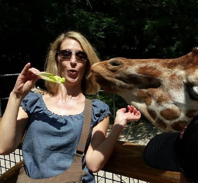 woman feeding lettuce to a giraffe.