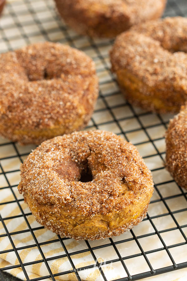 Baked Pumpkin Donuts. The next time you have a craving for one of those sweet, round breakfast treats skip the oil and try baking them! 