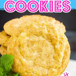 Snickerdoodle Cookies