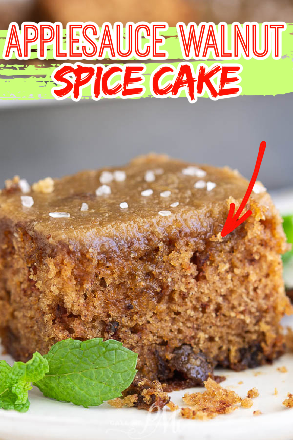 Applesauce Walnut Spice Cake 