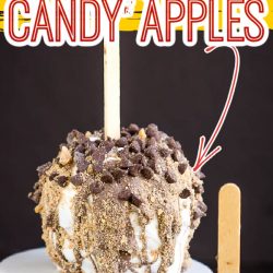 Gourmet Candy-Coated Caramel Apple