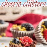chocolate berry clusters