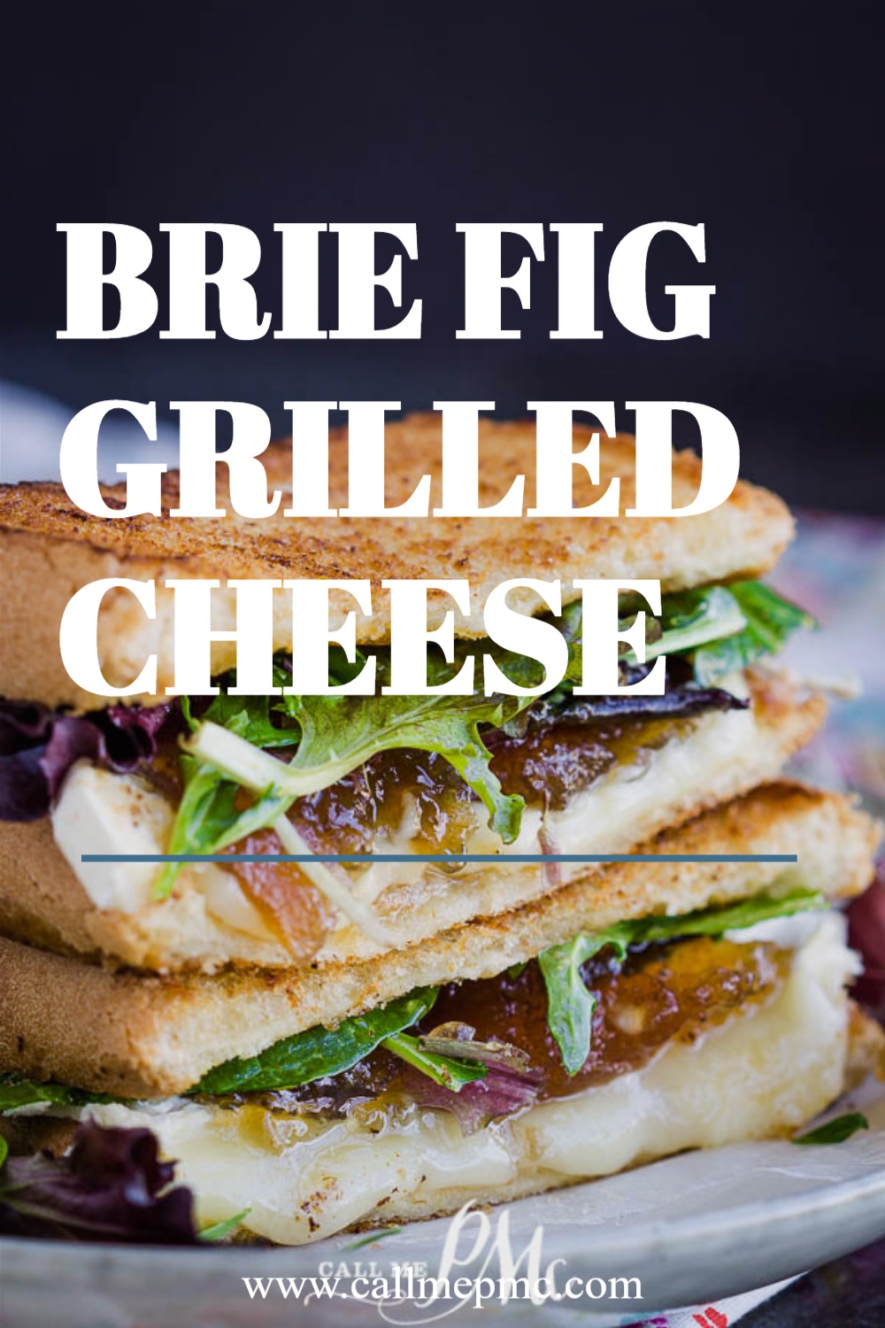 Brie Fig Grilled Cheese - Gourmet grilled cheese sandwich oozing with melted brie cheese and fig preserve nestled between buttery bread! It's out-of-this-world good! Brie Fig Grilled Cheese