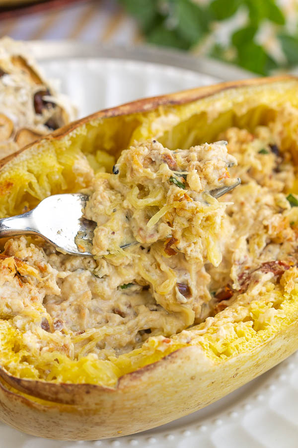 cooked spaghetti cooked spaghetti squash