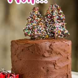 Best Chocolate Christmas Cake with Chocolate Pocky Trees